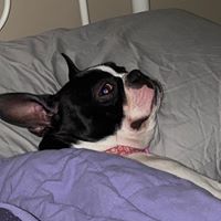 Shelly Hawkins's profile image