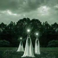 Michelle L Fultz's profile image
