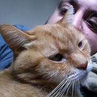 Brian Bachner's profile image