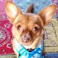 Susan Reilly's profile image