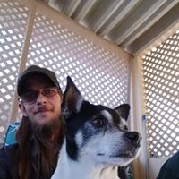 Matt Iverson's profile image