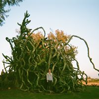 Hannah Cole's profile image