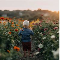 Miranda Rose's profile image