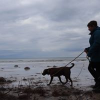 Jennifer Jan Cermak's profile image