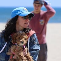 Denise Pinho Ipsen's profile image