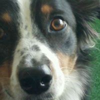 Leslie Cook's profile image