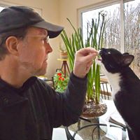 Brent Turner's profile image