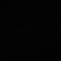 Michelle Mangia's profile image