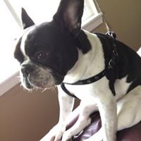 Danny Pace's profile image
