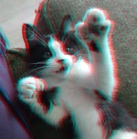 Freeda Watermelon's profile image