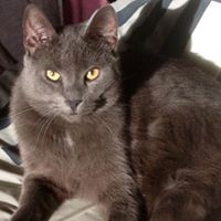 Annie Delgado's profile image