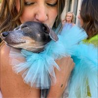 Lynde Jensen's profile image