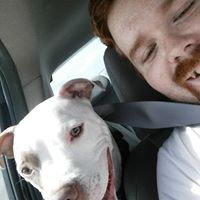 Taylor Seal's profile image
