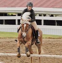 Tara Williamson's profile image