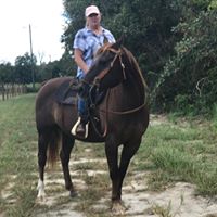 Donna Lacy's profile image