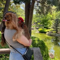 Amy SMck's profile image