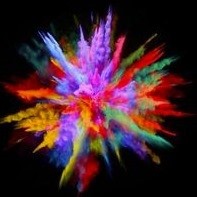 Debi Shetler Willis's profile image