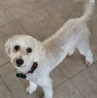 Lynn Brown's profile image