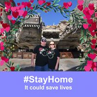 Tammy Megna's profile image