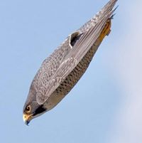 James Ritchie's profile image