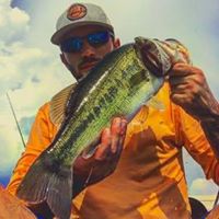 Robert Sullivan's profile image