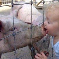 Lauren Partch's profile image