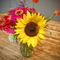 Molly Gosney Beale's profile image