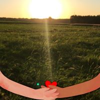 Tonny Tonny Gia's profile image