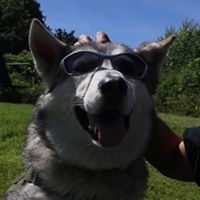 Wulf Ragnarson Hellefeuer's profile image