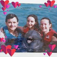 Kathi Bellew's profile image