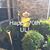 Michele Brekke's profile image