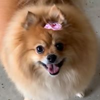 Tanya Doll's profile image