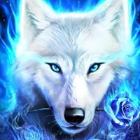 Wilma Bryant's profile image