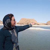 Shabnam Mohammadi's profile image