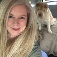 Meg Adamson-Gour's profile image