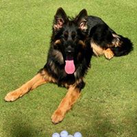 Ella Von Silverstein's profile image