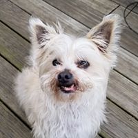 Michael Guida's profile image