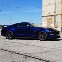 Damon Rivetti's profile image