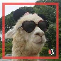 Sara Howard's profile image