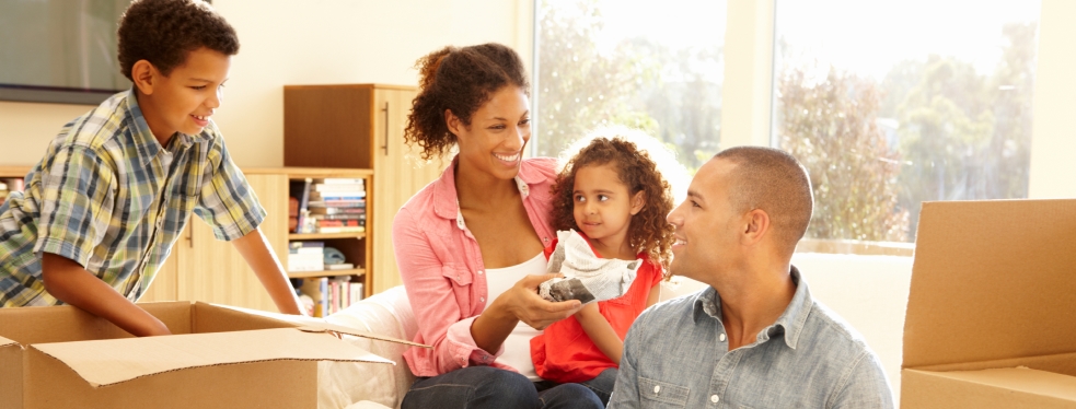 Rapid Mortgage Company's cover image