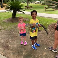 Melissa Green Streich's profile image