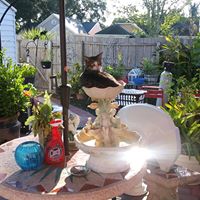 Jose Alberto Perez's profile image