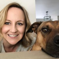 Shana York's profile image