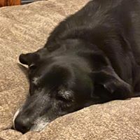 Judy Vaughn's profile image