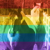Susan Mixon's profile image