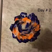 Dolores Garcia's profile image