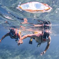 Tom Greathouse's profile image