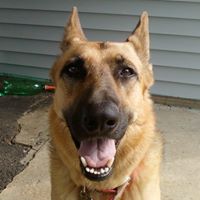 Ed Dugan's profile image