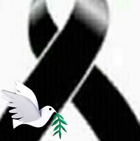 Lilian Calderon's profile image