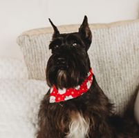 Joy Chapman's profile image